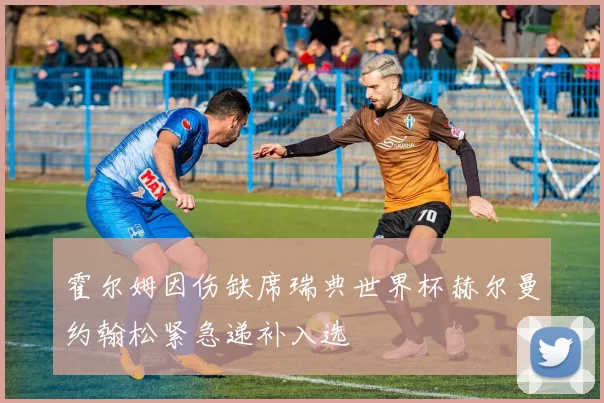 霍尔姆因伤缺席瑞典世界杯赫尔曼约翰松紧急递补入选