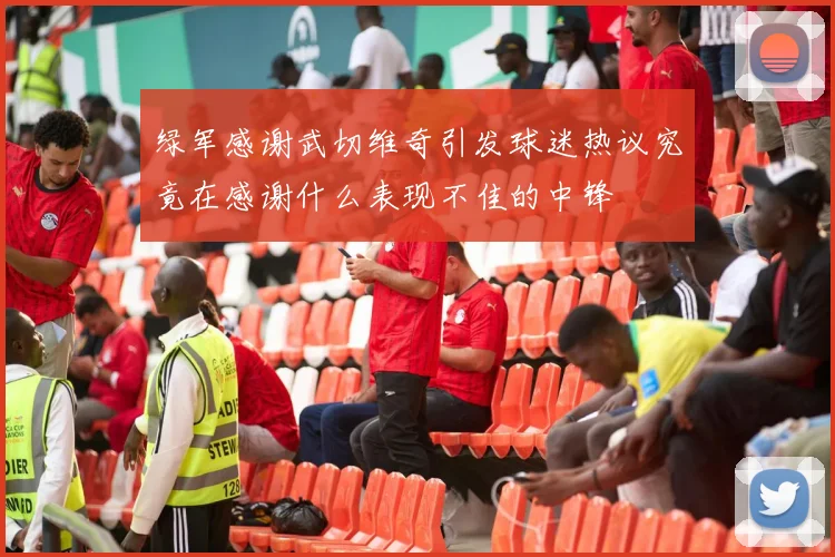 绿军感谢武切维奇引发球迷热议究竟在感谢什么表现不佳的中锋