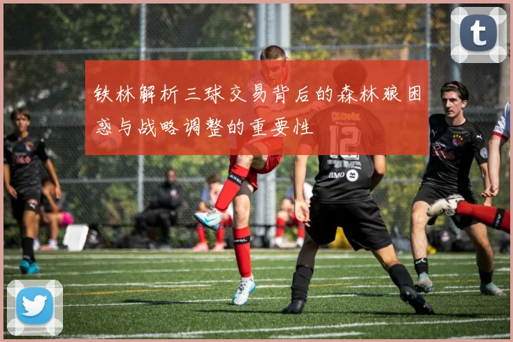 铁林解析三球交易背后的森林狼困惑与战略调整的重要性