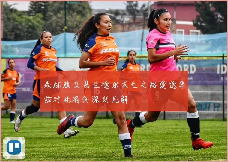 森林狼交易兰德尔求生之路爱德华兹对此有何深刻见解